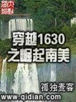 穿越1630之崛起南美